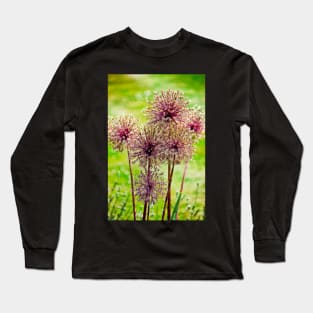 Allium flowers Long Sleeve T-Shirt